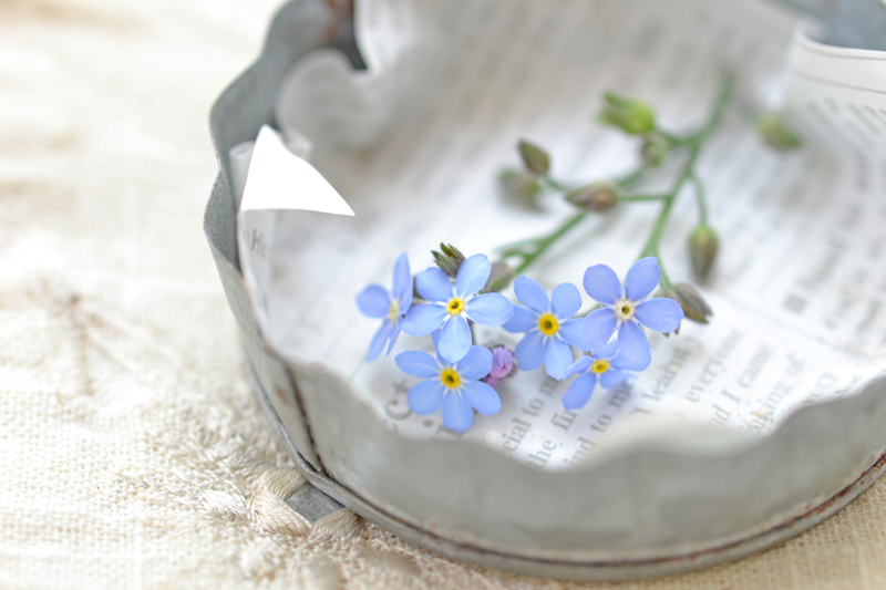 s--AdobeStock_343465779